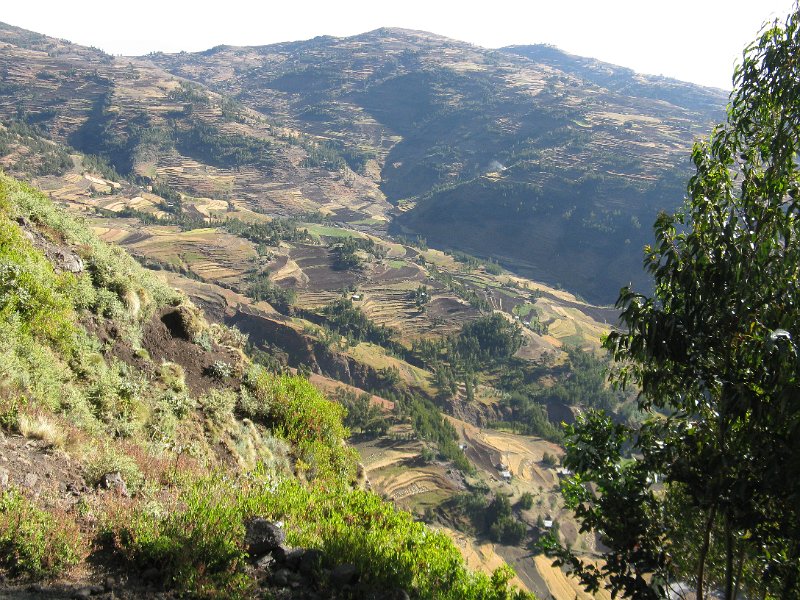 IMG_9779.JPG - De Woldiya a lalibela. Ascendim a 300m. 