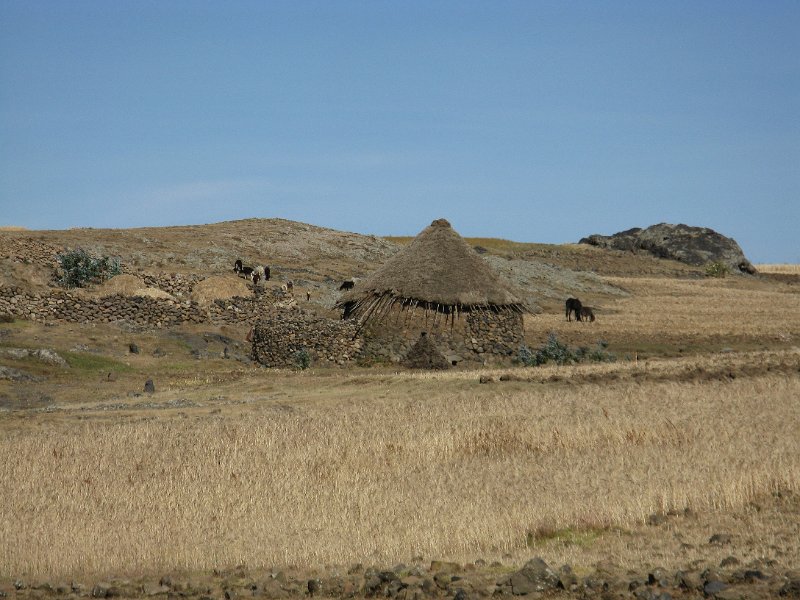 IMG_9804.JPG - tukuls i camps de blat