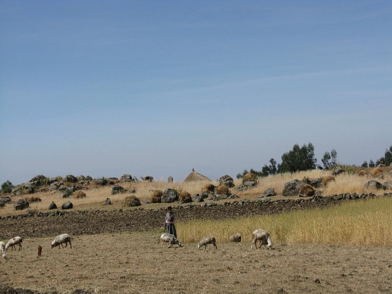 IMG_9946.JPG - ABaixant del monestir