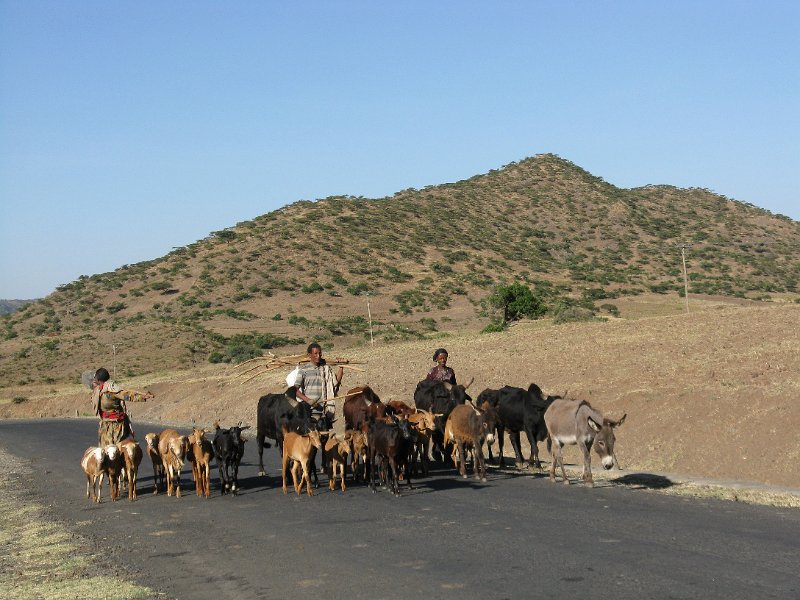 imh_0007.JPG - ocupant carretera