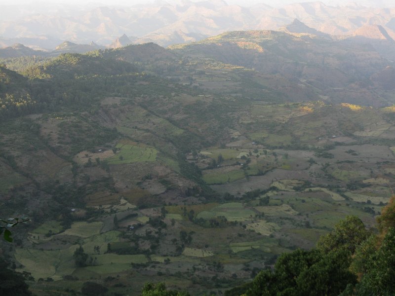 imh_0105.JPG - Simiens