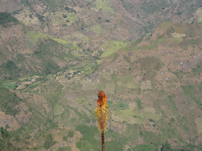 imh_0124.JPG - Nifòssia