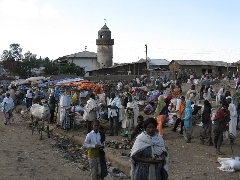 imh_0136.JPG - Debark