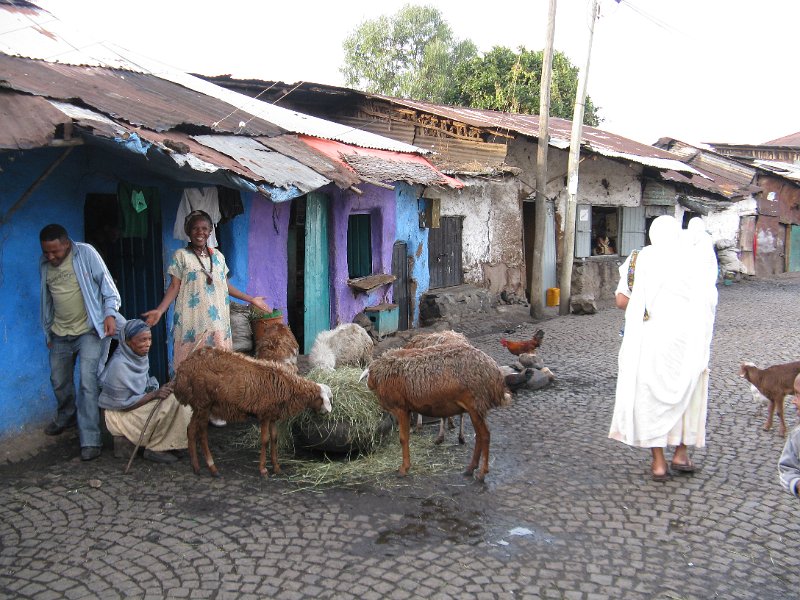 imh_0233.JPG - carrer de Góndar. 