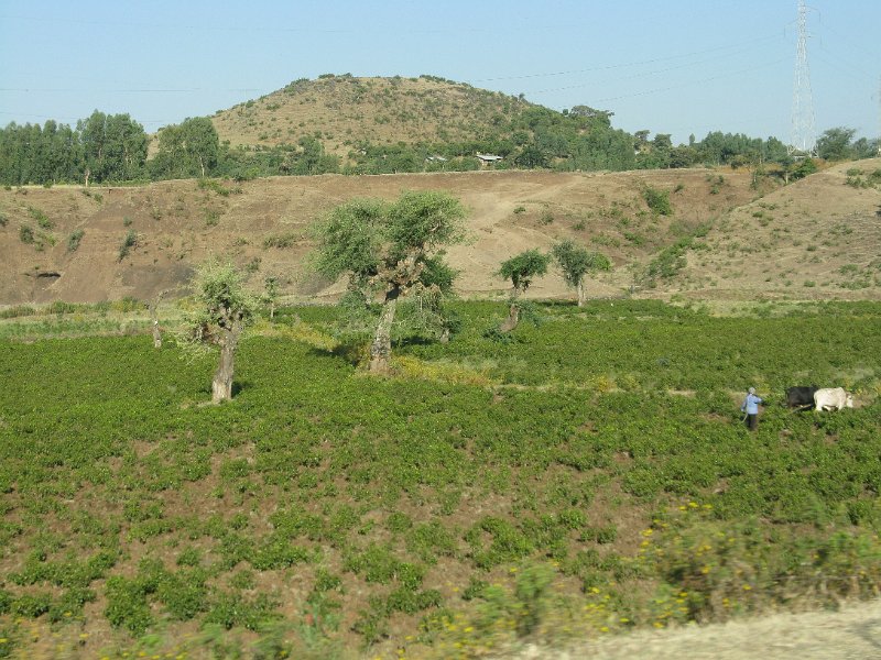 imh_0242.JPG - Camí de Bahar Dar (Casa del mar)