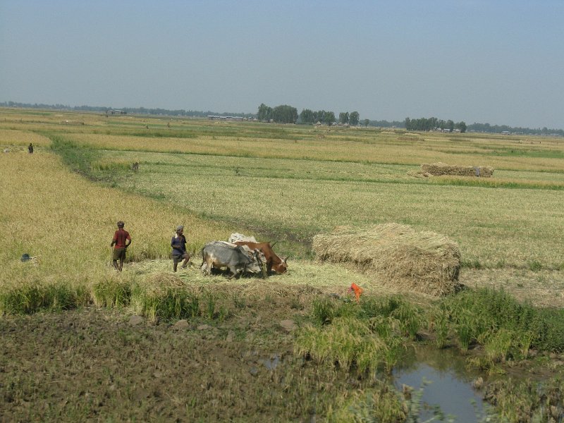 imh_0259.JPG - paissatges