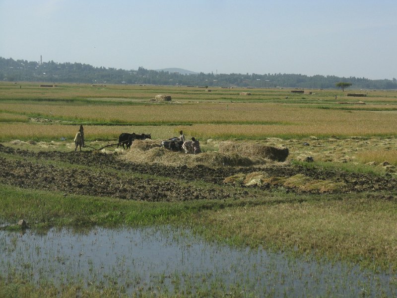 imh_0260.JPG - paissatges