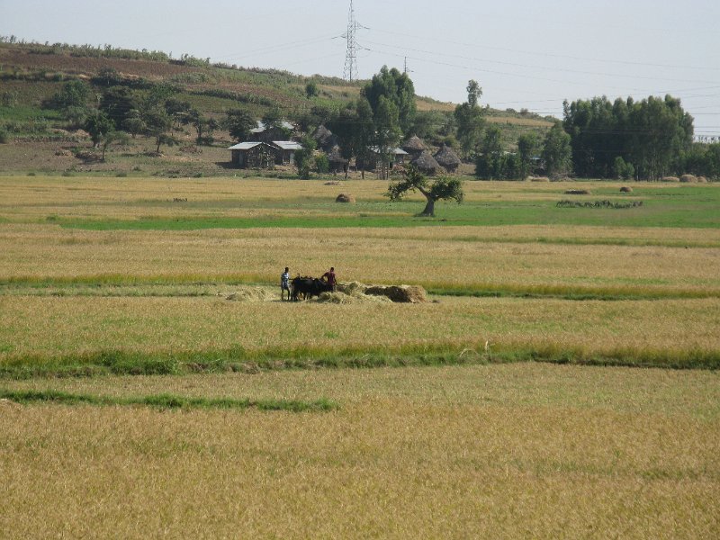 imh_0264.JPG - paissatges