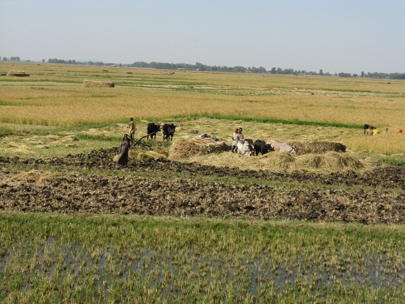 imh_0270.JPG - paissatges