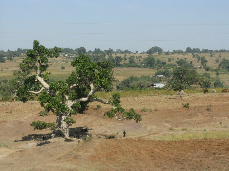 imh_0273.JPG - paissatges