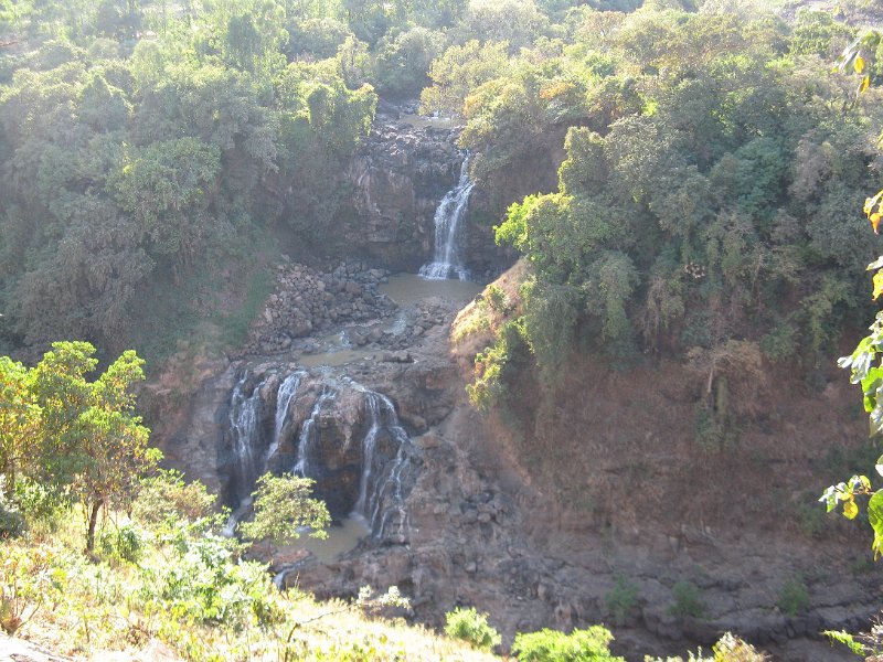 imh_0309.JPG - cua de cavall