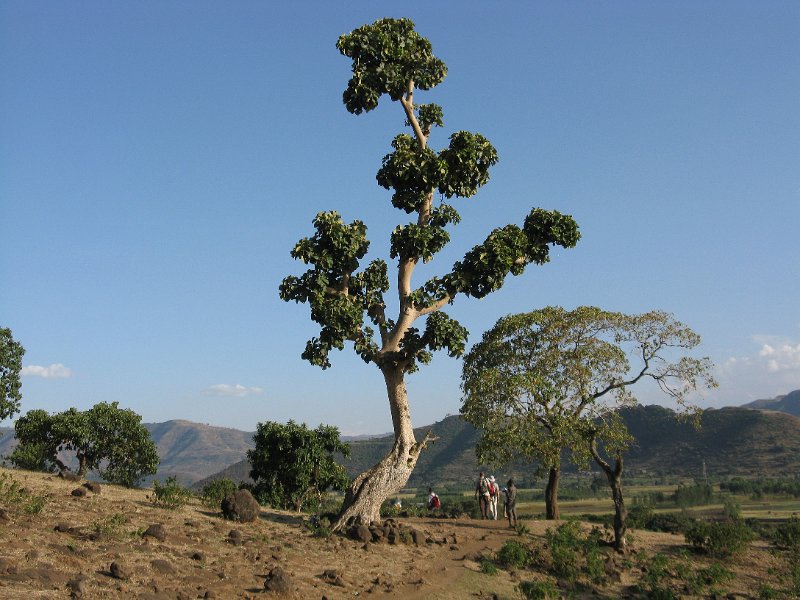 imh_0313.JPG - paissatges