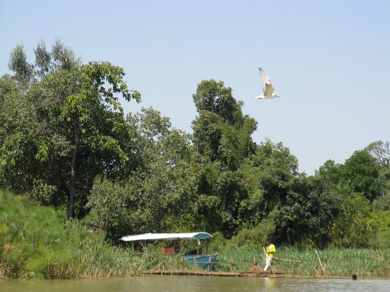 imh_0383.JPG - naixement del Nil Blau. 