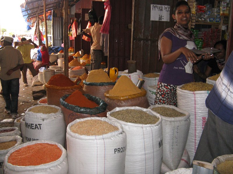 imh_0423.JPG - gra i espècies