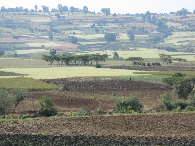 imh_0448.JPG - Paissatges camí d'Addis Abeba