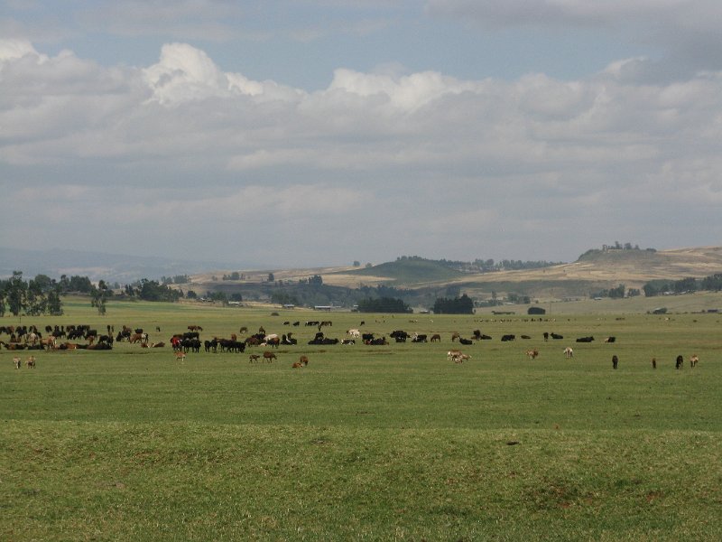 imh_0453.JPG - Paissatges