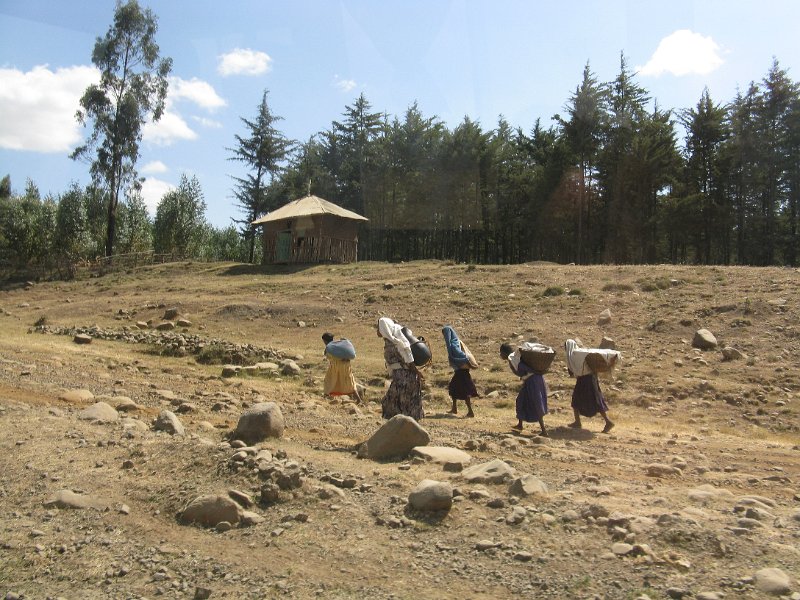 imh_0459.JPG - Paissatges