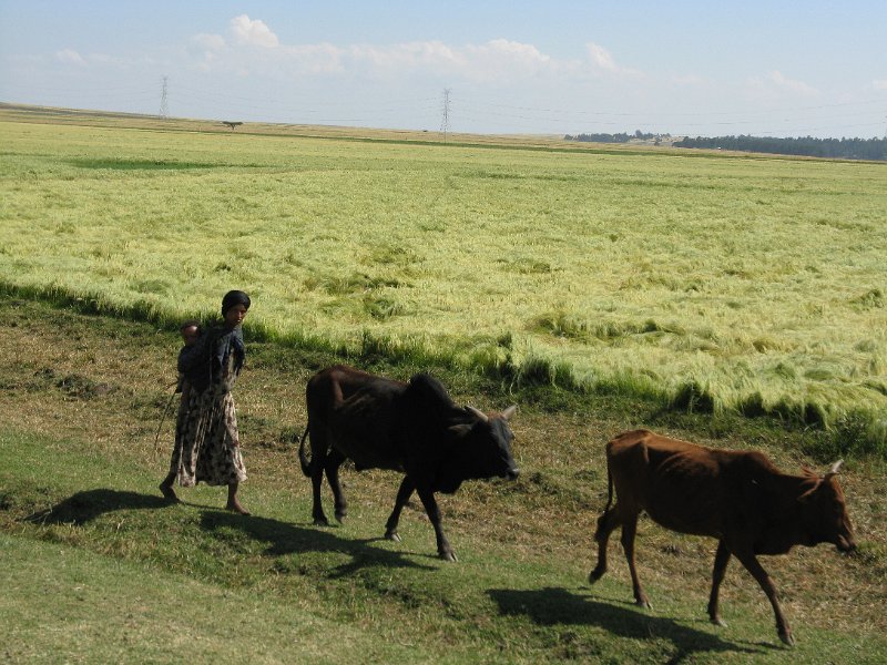 imh_0462.JPG - Paissatges