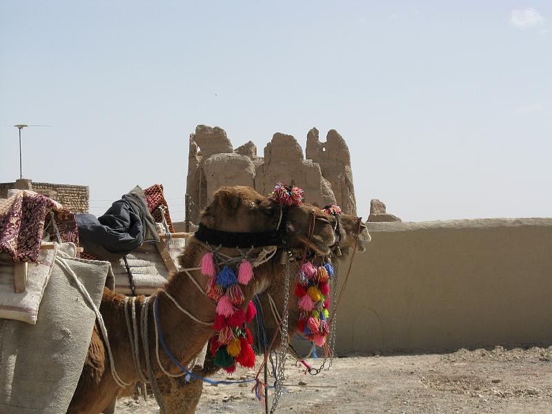 IMG_0366.JPG - Camí d'Isfahan. Altre poble. (?) Arriben els reis mags?