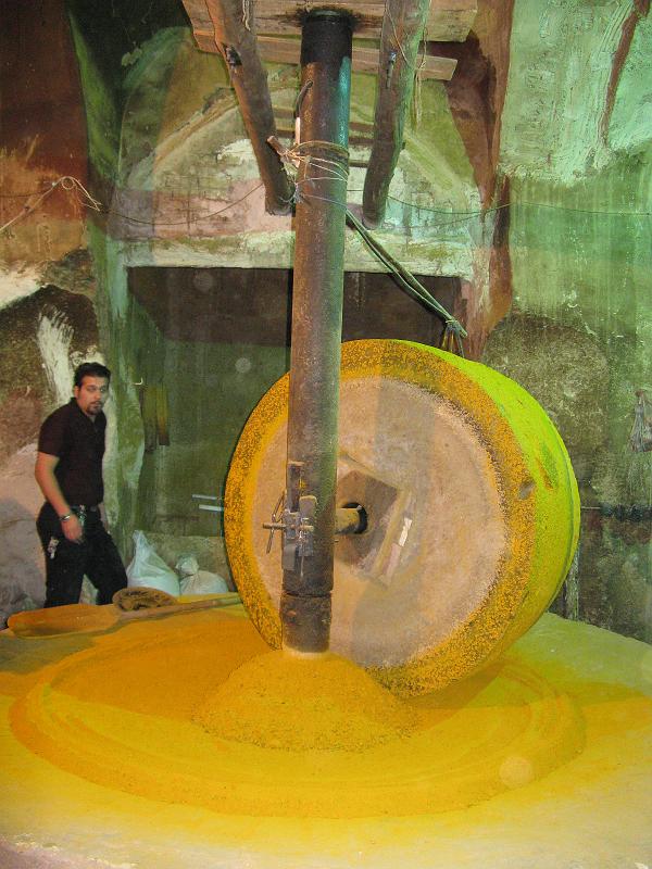 IMG_0641.JPG - Kashan. Molent espècies..