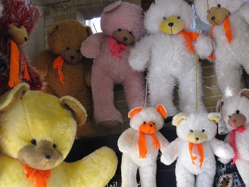 IMG_0739.JPG - Qom. Ossets a l'espera de ser adoptats.