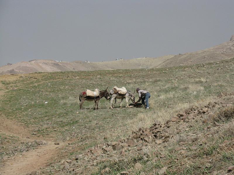 IMG_0859.JPG - Baixant del castell d'Alamut.