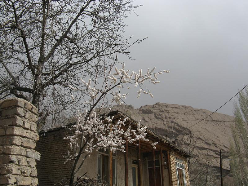 IMG_0860.JPG - Alamut poble.