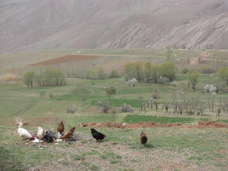 IMG_0873.JPG - Tornant de Alamut.