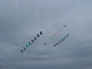 DSCF0158