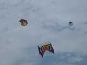 DSCF0208