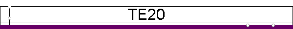 TE20