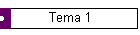 Tema 1