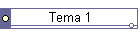 Tema 1