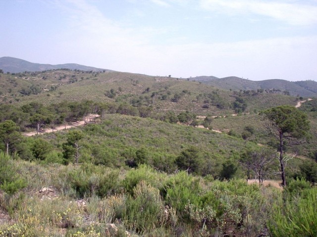 Pulsar para ver la imagen original