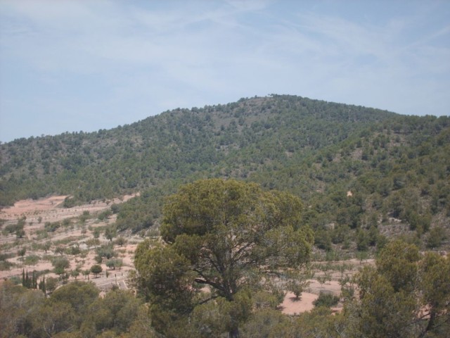 Pulsar para ver la imagen original