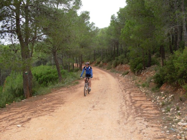 Pulsar para ver la imagen original