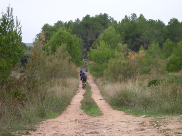 Pulsar para ver la imagen original