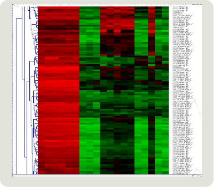 _images/cluster_genes.png