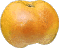 esperieg.gif (5930 bytes)