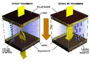 lcd