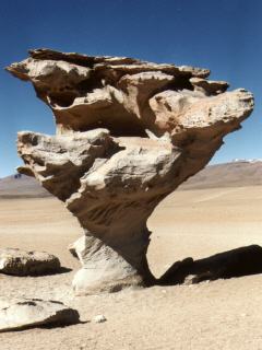 �rbol de piedra