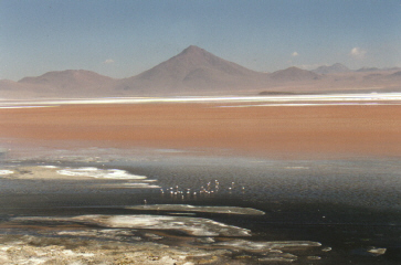 Laguna colorada