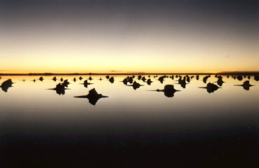 Mont�culos de sal en el salar