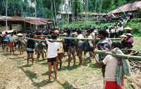 Indonesia
