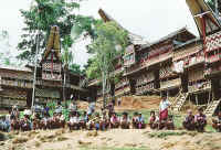 Ceremonia funeraria en Tana Toraja