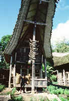 Rantepao