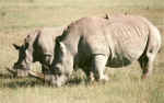 Kenya