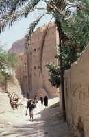Shibam