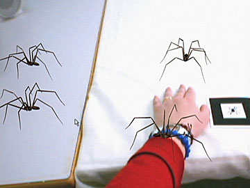 Phobia to small animals. Spiders