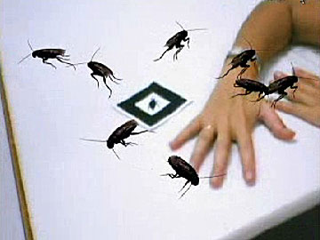 Phobia to small animals. Cockroaches